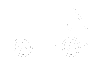 DPF LKW - DPF concept DPF LKW - DPF concept